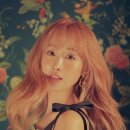 12월32일 / 별 이미지