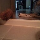 우리집동물병원 이미지