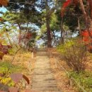 경희대학교한방병원 이미지