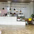 견사무소 애견미용실 이미지