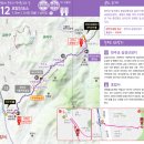 [Seoul Trail Course 12] 서울 둘레길 12코스 (호암산 코스) / 26.05.23.