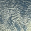 씨유천안청당원룸점 | [천안 청당동 맛집] 청당동 만세한우곱창 곱창 15인분 먹은 솔직 후기 🍖