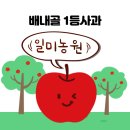 일미농원 네이버블로그