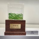 펫포레스트 반려동물장례식장 남양주점 이미지