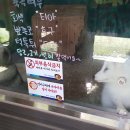 재리쥬 작은동물원 이미지