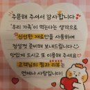 목동하나프라자 | 목동 맛집 추천 : 족발의 기본, 포장 할인받아 즐기는 야들야들한 족발과 막국수 후기