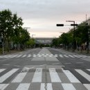 이채쇼핑몰 이미지