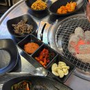 돼지술술