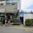 제일농약종묘사 이미지