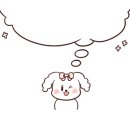 나우아름스튜디오