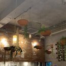 라파농장 이미지