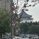 용종농장 | 2024년 3월 로그 | 대장내시경 후기