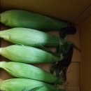 팔음농장 이미지