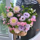 서림화