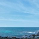 스테이달리 이미지