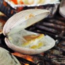 피서징서 조개구이 100배 맛있게 먹는법! 이미지