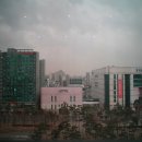 윙윙댄스스포츠 이미지