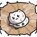 크로스핏아슬란 이미지