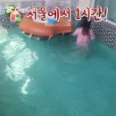 청계호수자작나무숲펜션2
