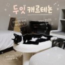 고양이 스크래쳐 침대 두잇 캐르테논 1년 사용 후기