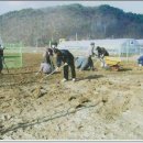 바둑골마을 이미지