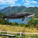 윤현목장 이미지