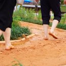 삼문동둔치길(삼문송림) | 밀양 걷기 좋고 러닝 하기 좋은 삼문동 밀양강 둔치공원 황톳길 맨발산책로