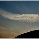 백 년만에 볼 수 있다는 흰고래 구름 이미지