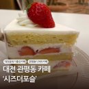 시즈더포슬 이미지