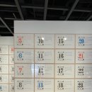 푸른솔 미술 교습소 | [미술전시]리움 미술관_현대 미술 소장품전(2025.02.27~ 진행중 )
