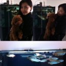 물고기한마리