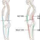 아이앤지짐 이미지