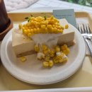 이뮤(immu) | [합정맛집] 이뮤 베이크샵(immu bake shop) 비건 초당옥수수레이어드치즈케이크 솔직후기