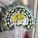은하수공원장례식장근조화환꽃집 | 세종 장례식장 근조화환 당일배송 부고 조의 꽃집