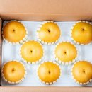 풍림상사 이미지