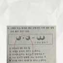 남천중학교 이미지