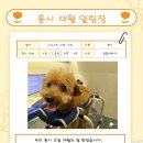 더본 외과동물의료센터 이미지