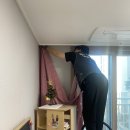 리클린 네이버블로그