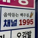 1995&음악맥주 이미지