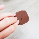 CU 월곡키스트점 | [롯데신상과자]진한 초코맛 가나 랑드샤, 가나티라미수 후기