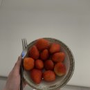 복만루반점 | 일상의 잔물결