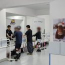 하미 | 아이 실력이 눈에 띄게 달라지는 송파 인라인 강습, 하미인라인 후기