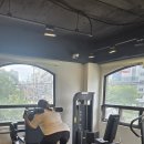 백곰 짐 이미지