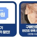 자반고래밥