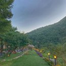 맘편한민박 이미지