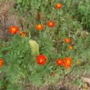 남대구초등학교 이미지