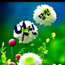 조*호 Daum카페