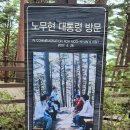 소나무숲길 이미지