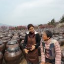 섬진강매화로 이미지