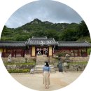 부용가든 | 춘천 필수 여행코스 1일차 내 생애 가장 아름다웠던 사찰 청평사.